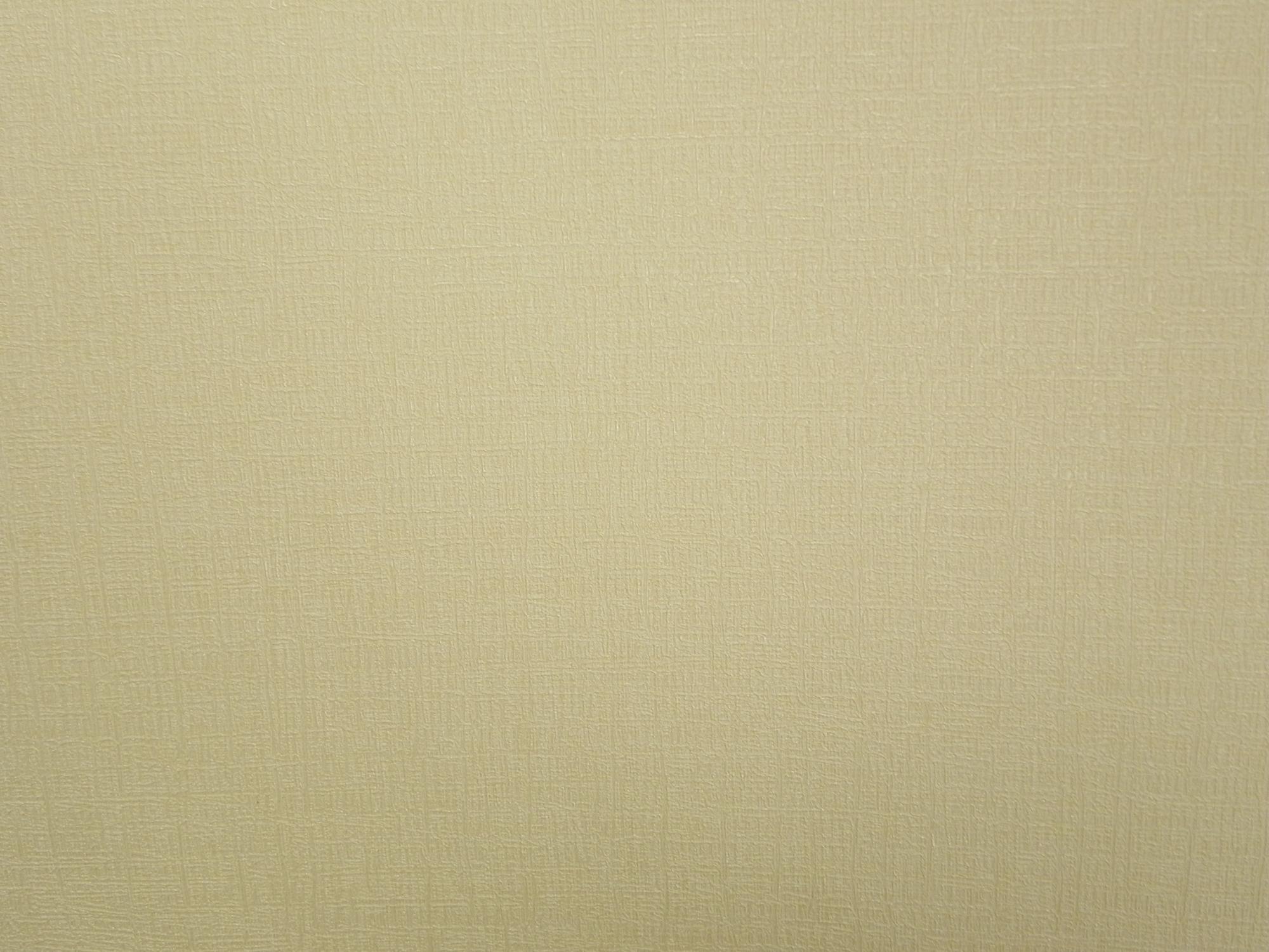 Papier peint vinyle Scala uni crème beige foncé Leroy Merlin