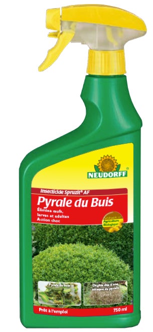 Traitement Des Insectes Pyrale Du Buis Pourplantes D Ornement Ml