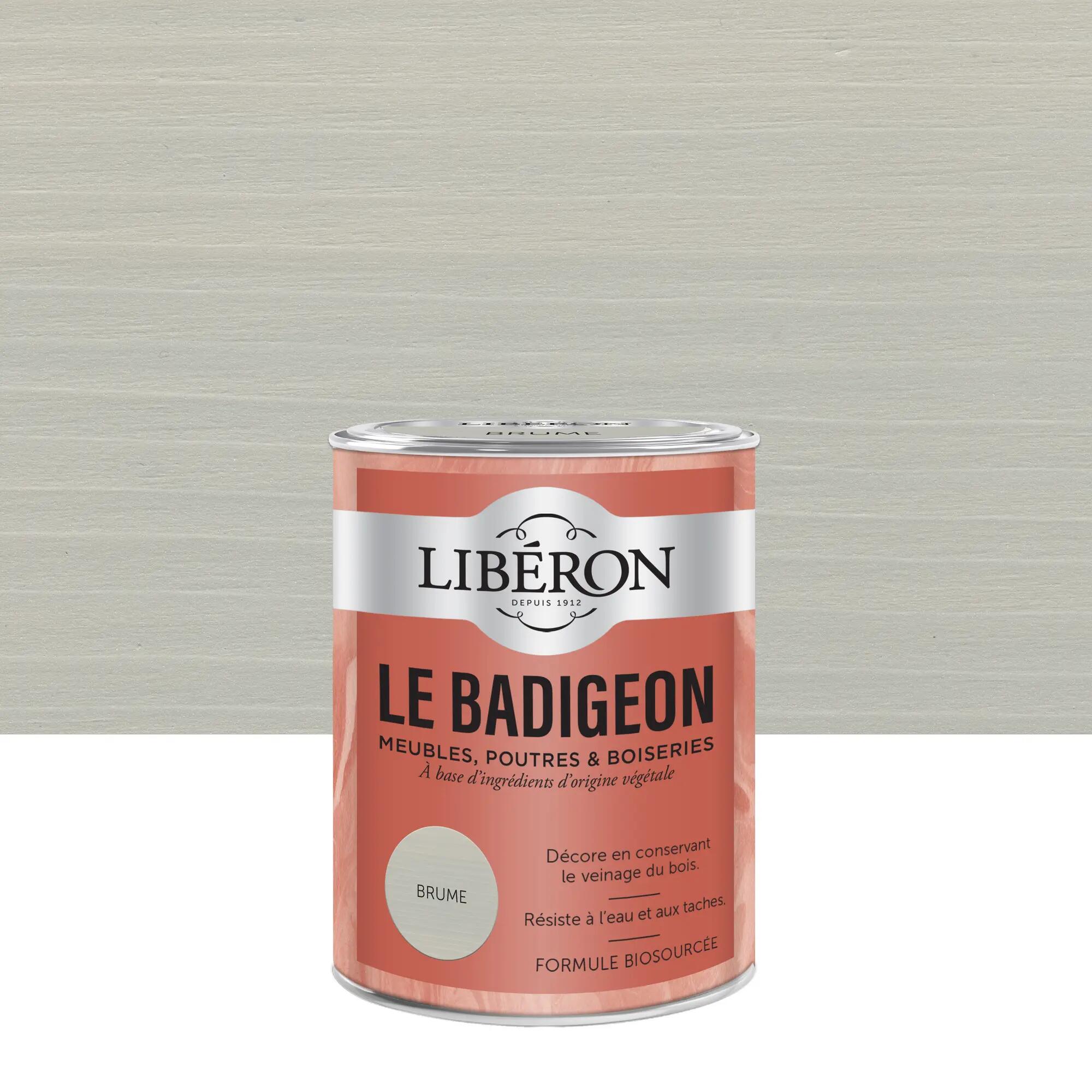 Badigeon Lib Ron Brume Mat Ml Leroy Merlin