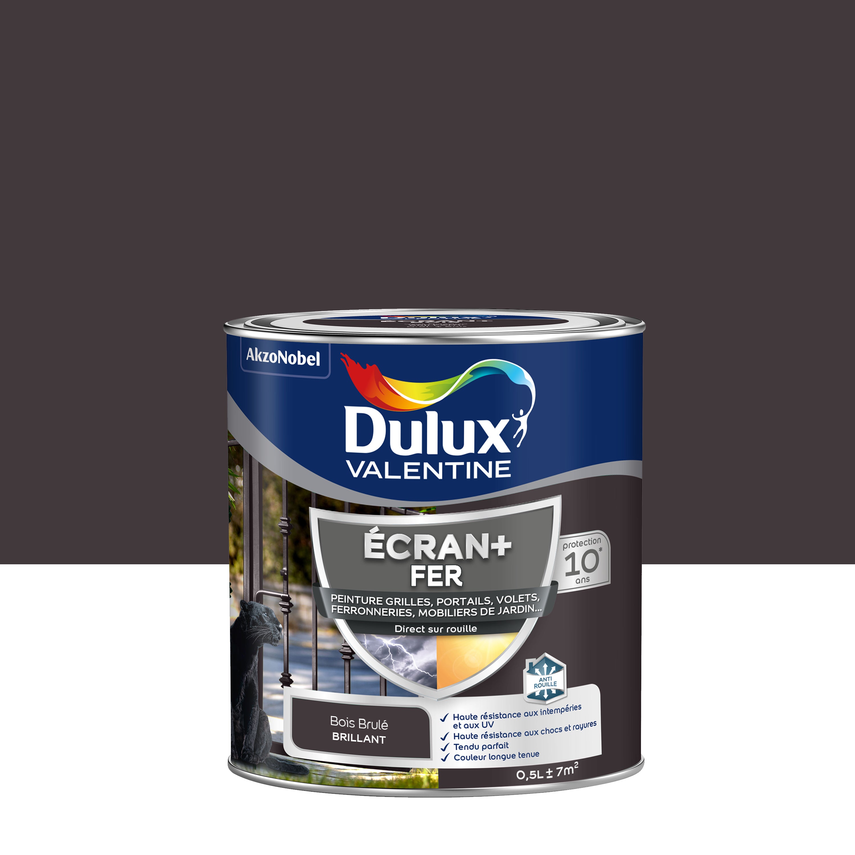 Peinture Ext Rieure Fer Ecran Dulux Valentine Bois Br L Brillant