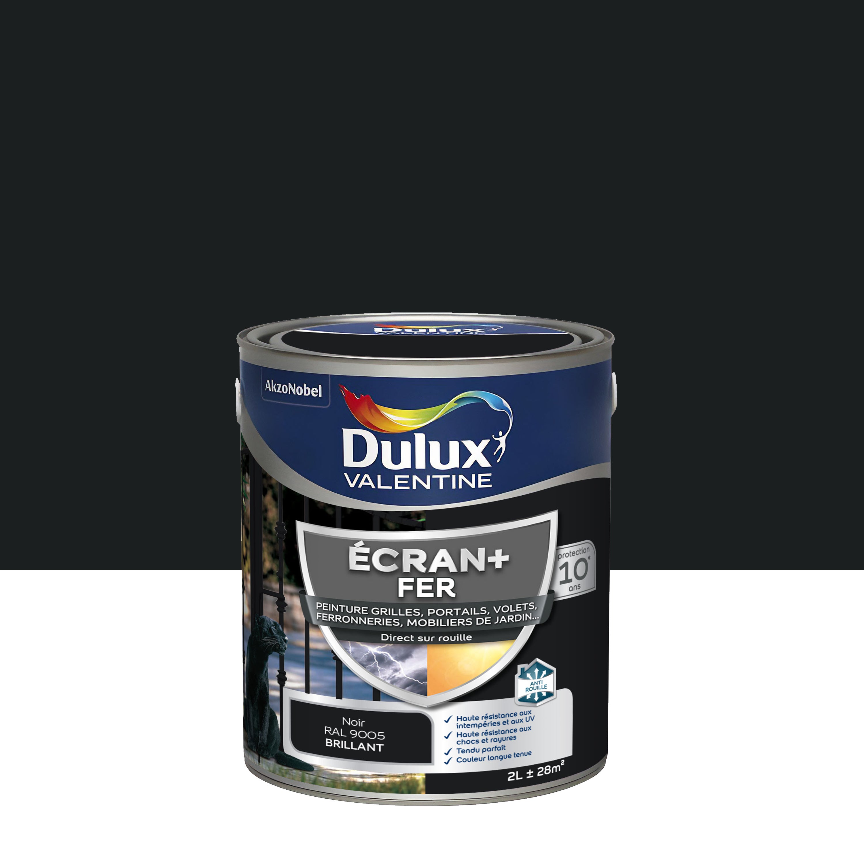 Peinture Ext Rieure Fer Ecran Dulux Valentine Noir Brillant L