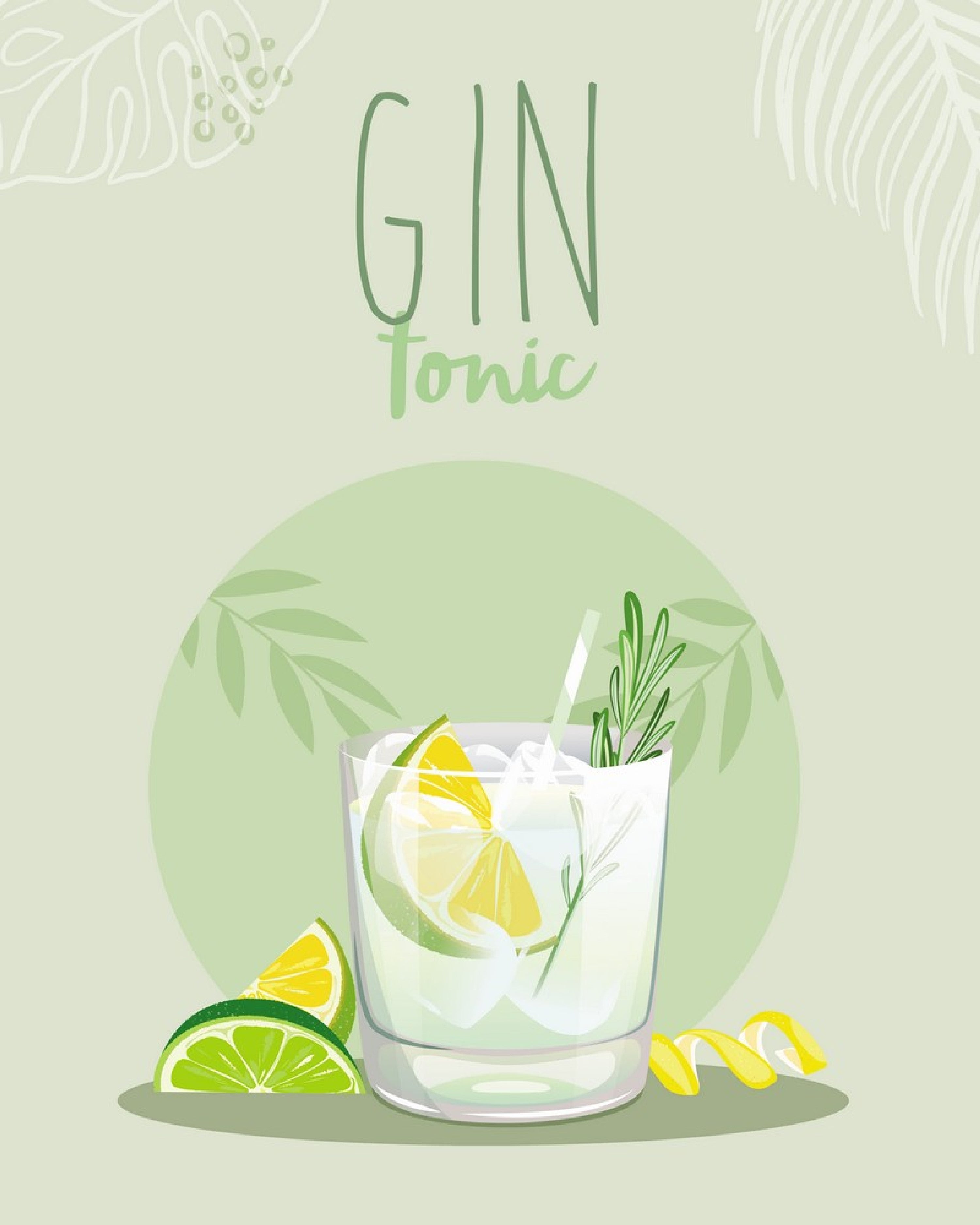 Affiche Gin Tonic L 40 X H 50 Cm Leroy Merlin