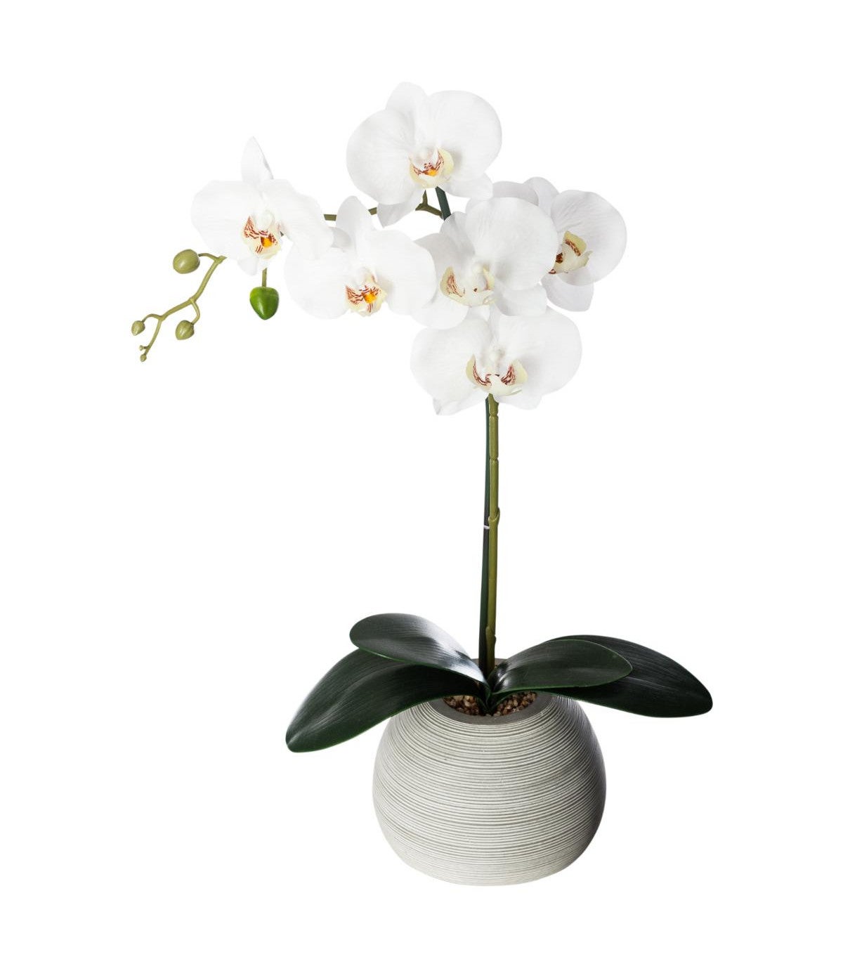 Plante artificielle Orchidée dans Pot en céramique H 50 cm Leroy Merlin