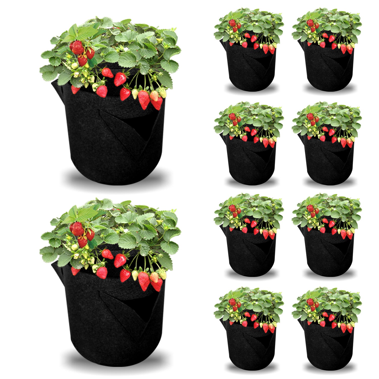 Lot De Sacs Plantes Accessoires Pour Plantes Sac Plantes Sac