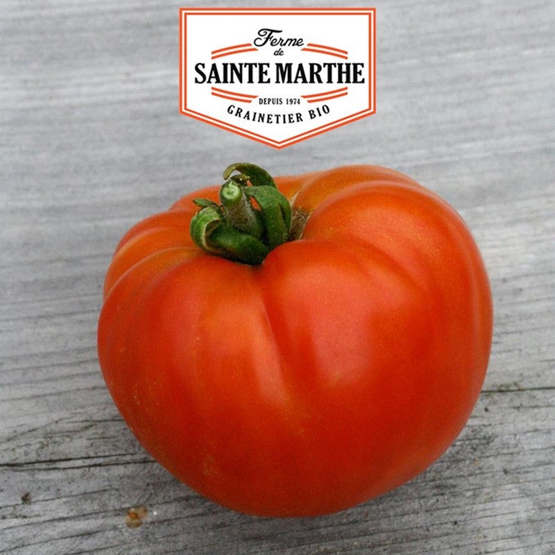 50 Graines Tomate Reine La Ferme Sainte Marthe Leroy Merlin