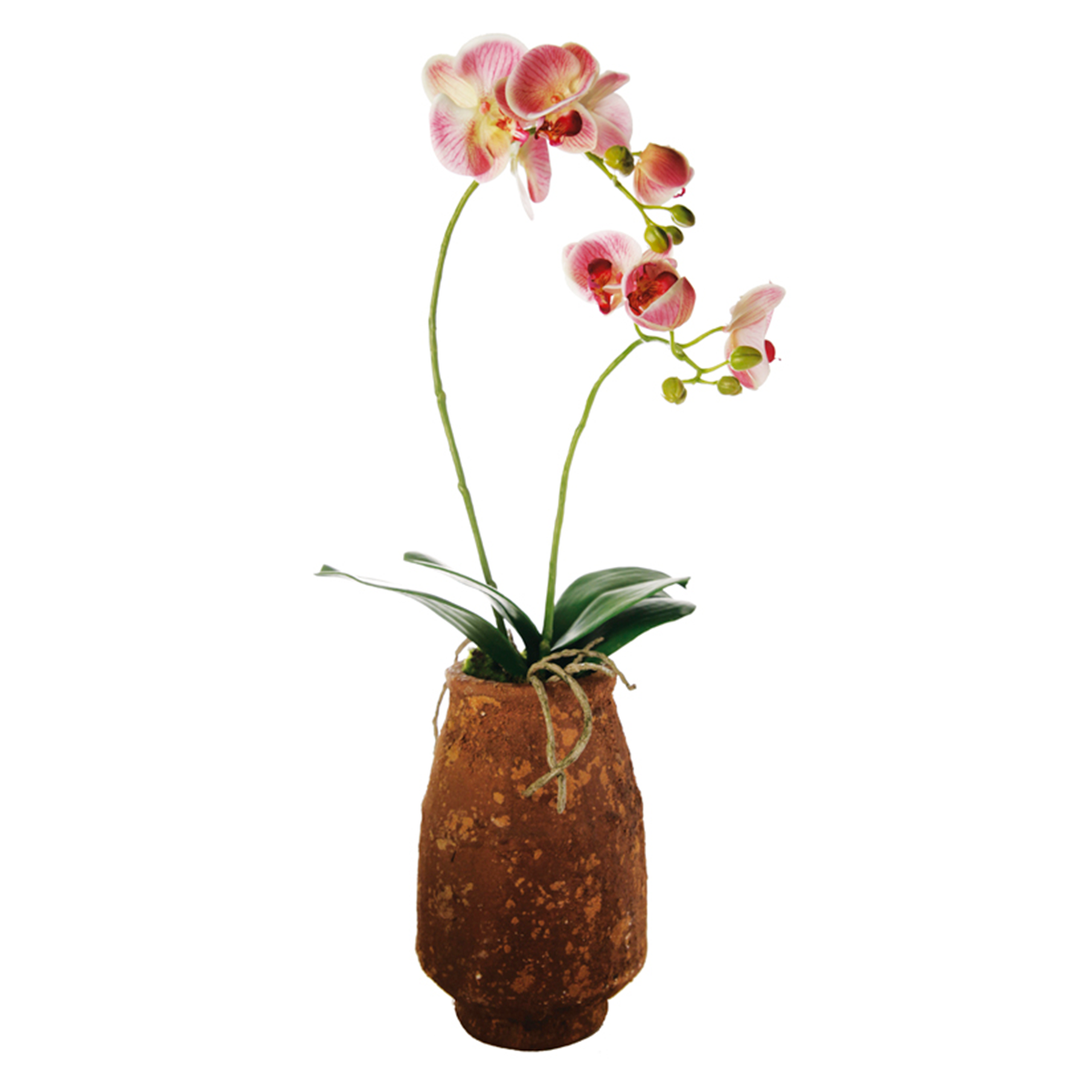 Orchidée Artificielle en Pot en argile H63 Leroy Merlin