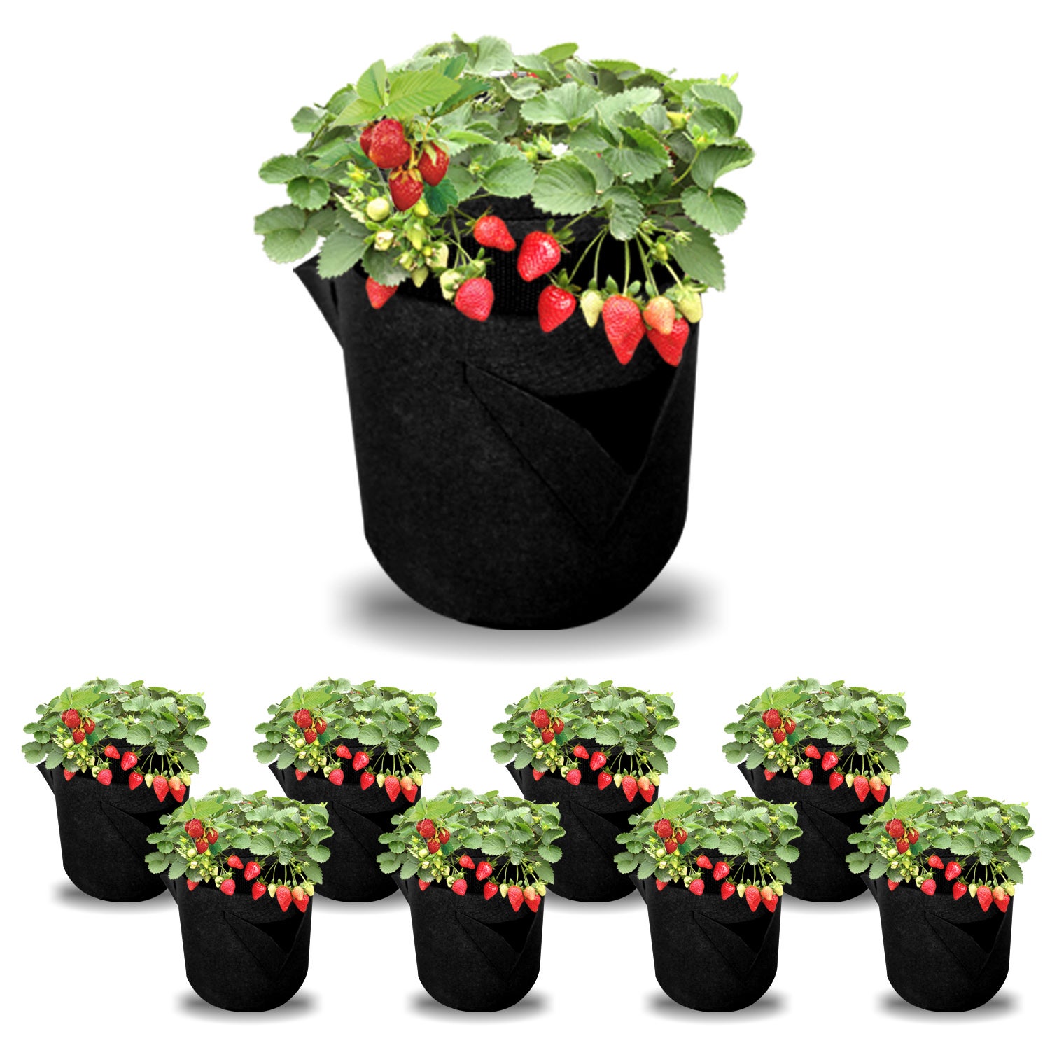 Lot De Sacs Plantes Accessoires Pour Plantes Sac Plantes Sac