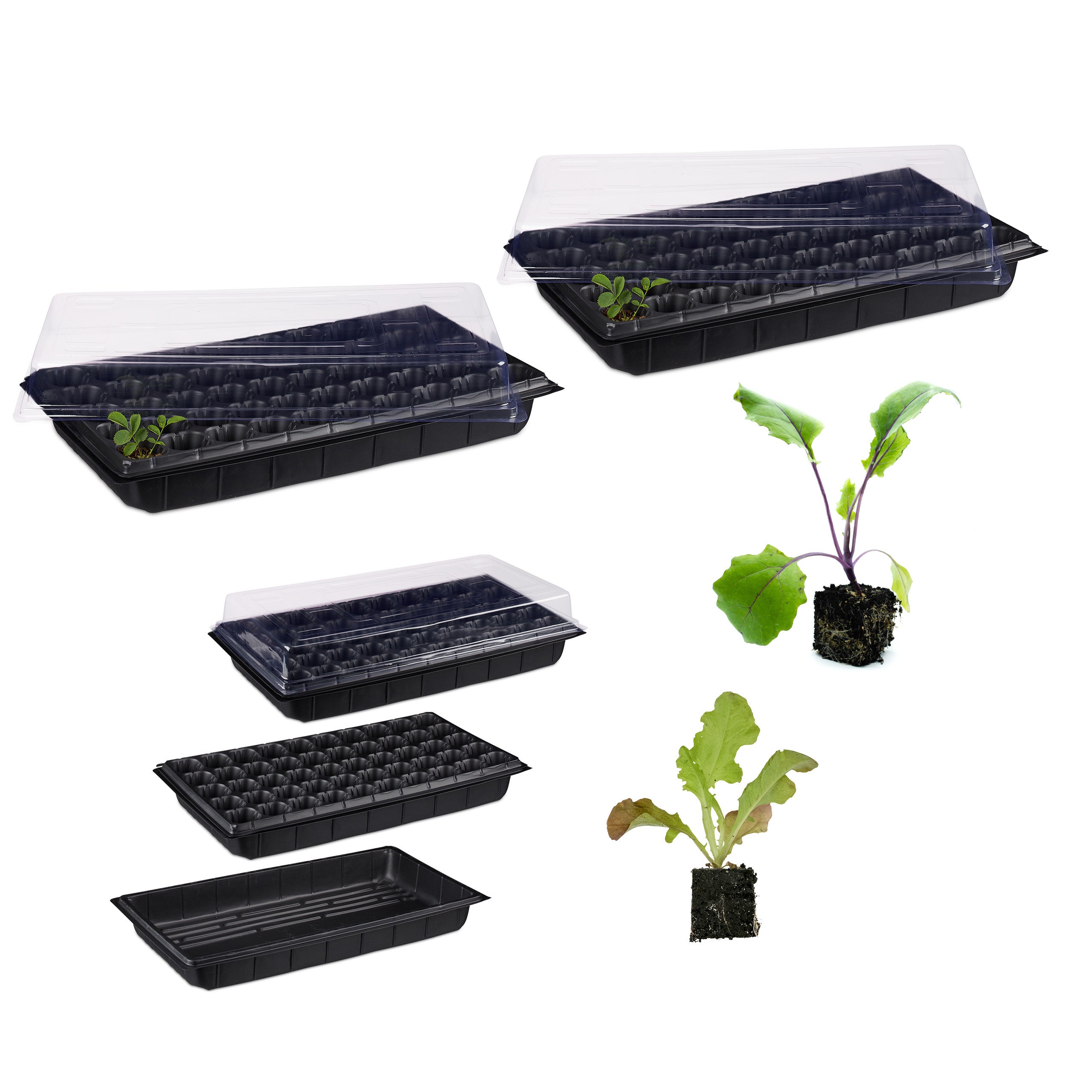 Mini Serre Lot De Pour Lint Rieur Plantes Couvercle Semis