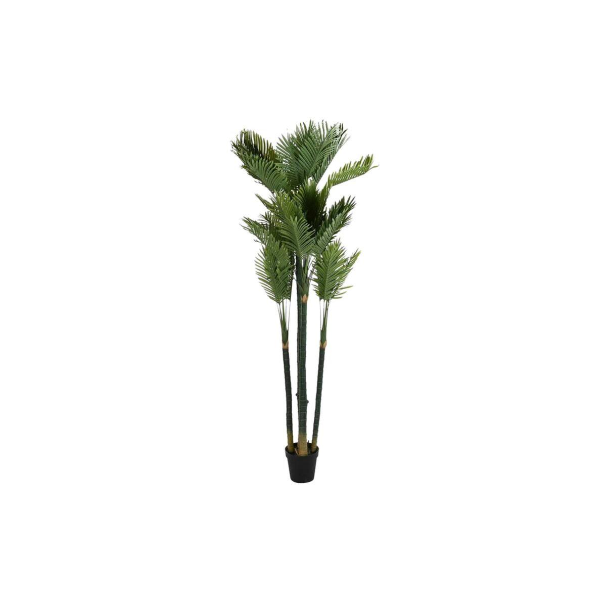 Planta Decorativa DKD Home Decor Palmera 100 X 100 X 230 Cm Leroy