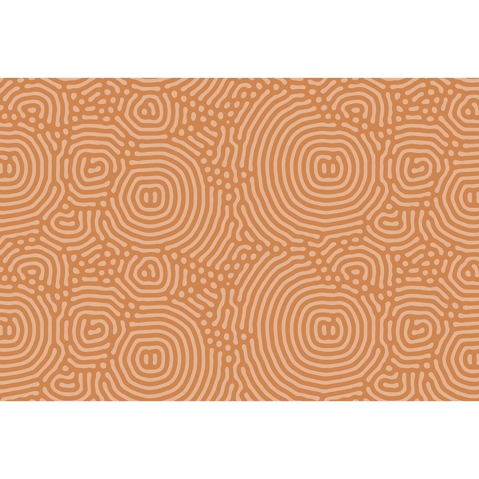 Papier Peint Panoramique Orange Beige Graphique Tapisserie