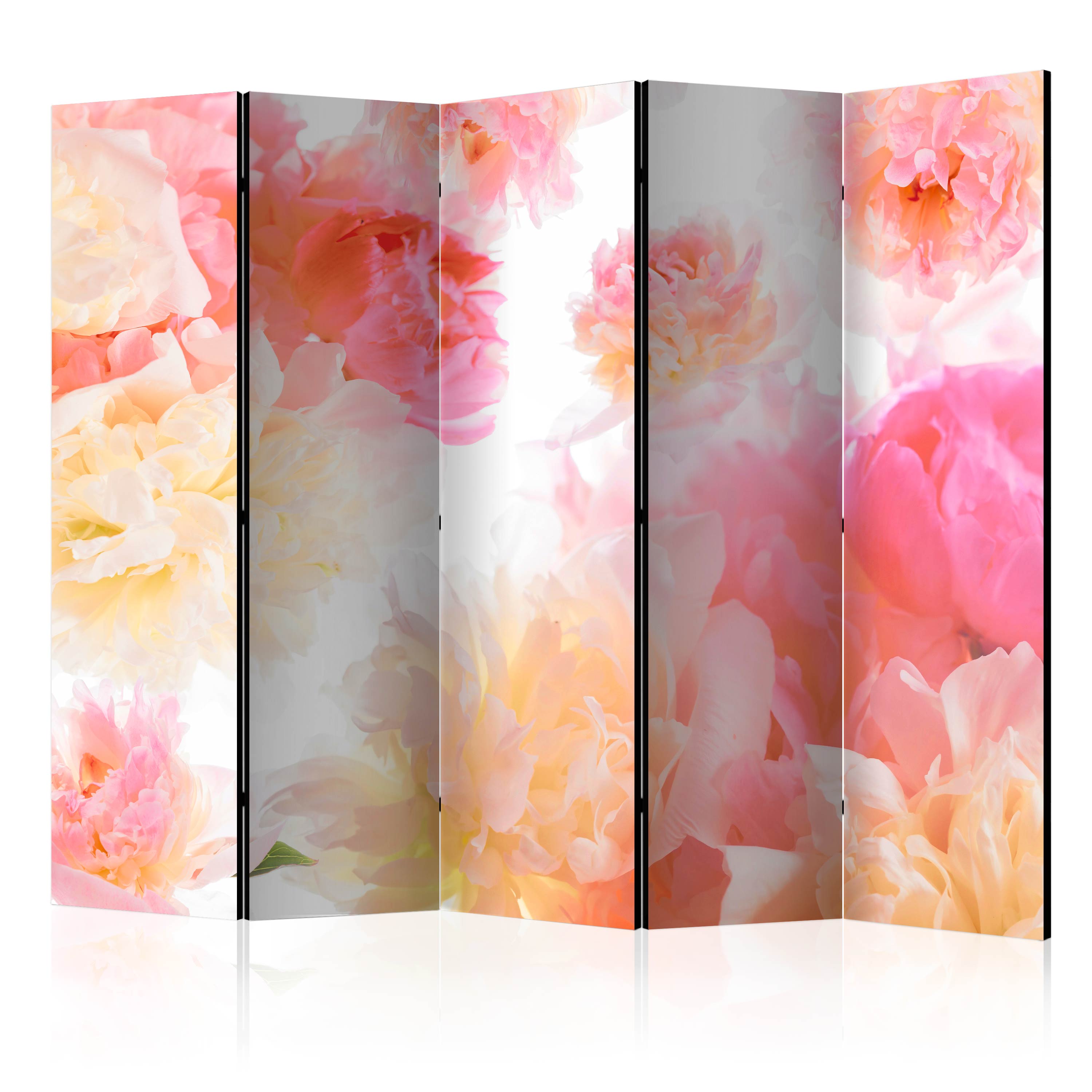 Paravent 5 Volets Pastel Peonies II Room Dividers 225x172 Leroy