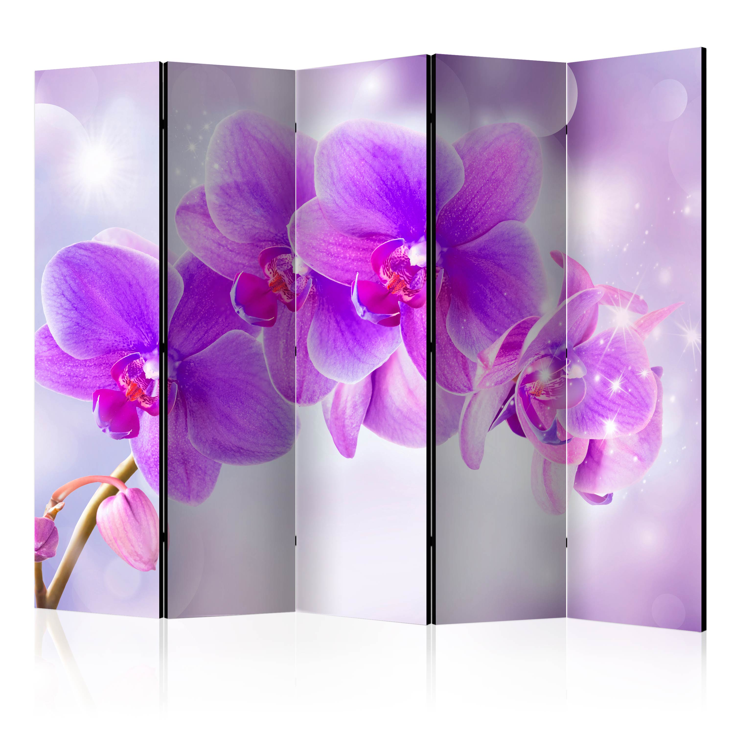 Paravent Volets Purple Orchids Ii Room Dividers X Leroy