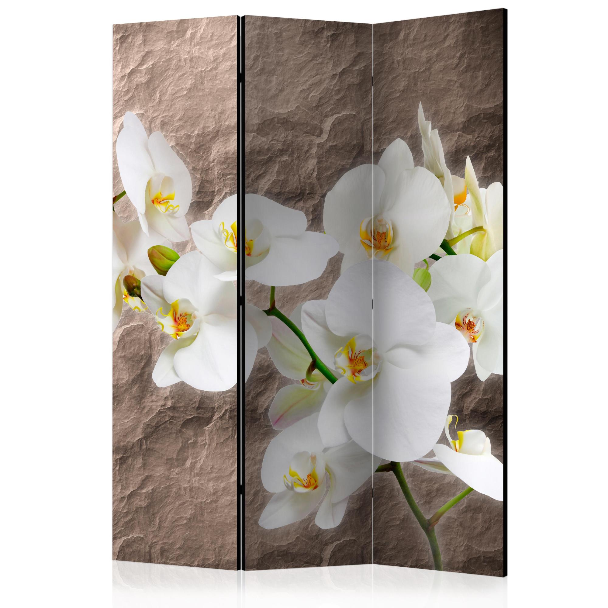 Paravent Volets Impeccability Of The Orchid Room Dividers