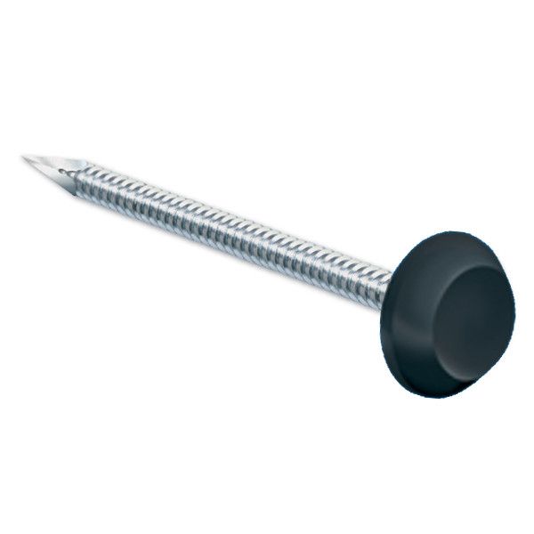 Pointes T Te Noire Ral Inox A Pour Rive Mm Par Leroy Merlin