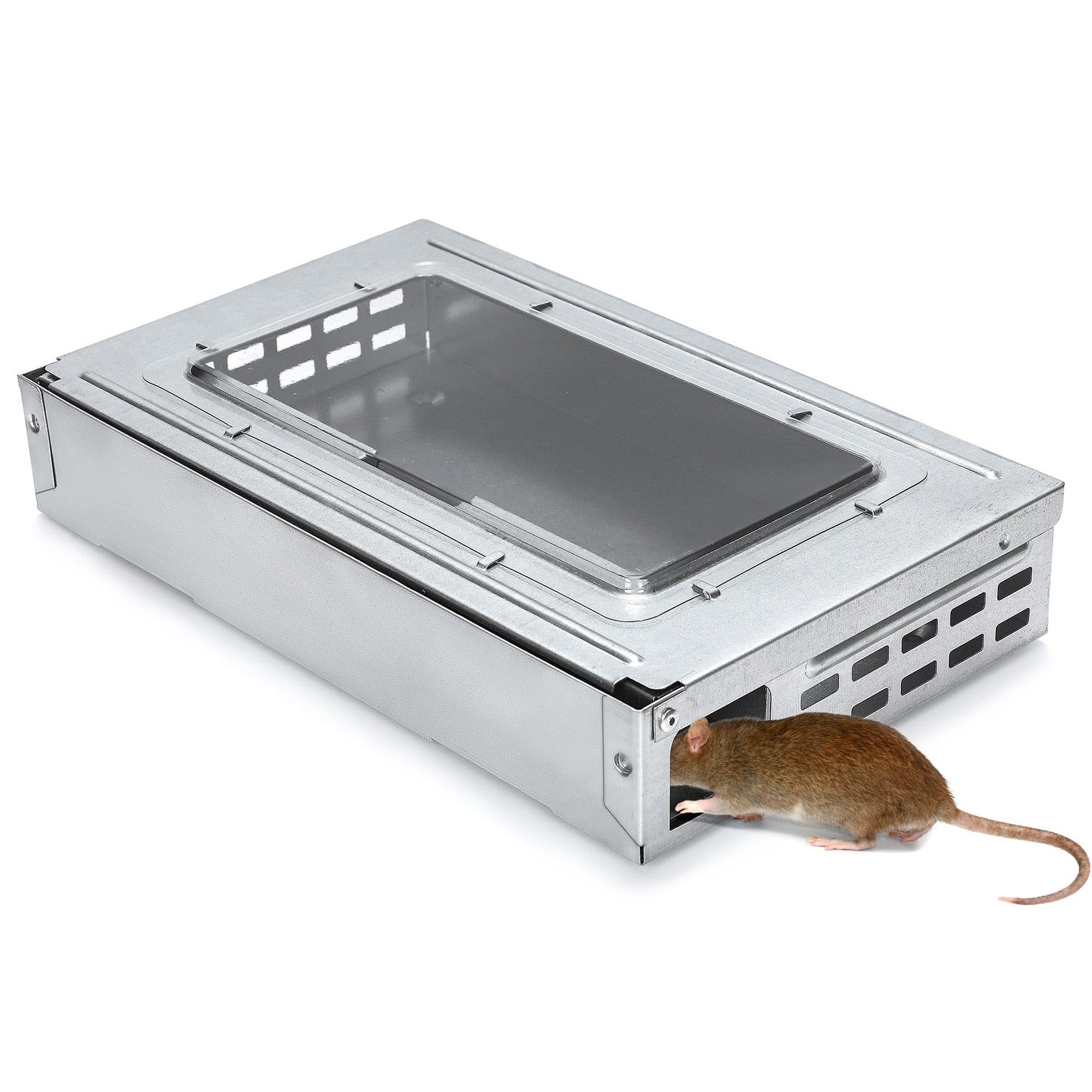 Pi Ge Souris Sans Cruaut Multi Prises Pi Ge Souris Vivant