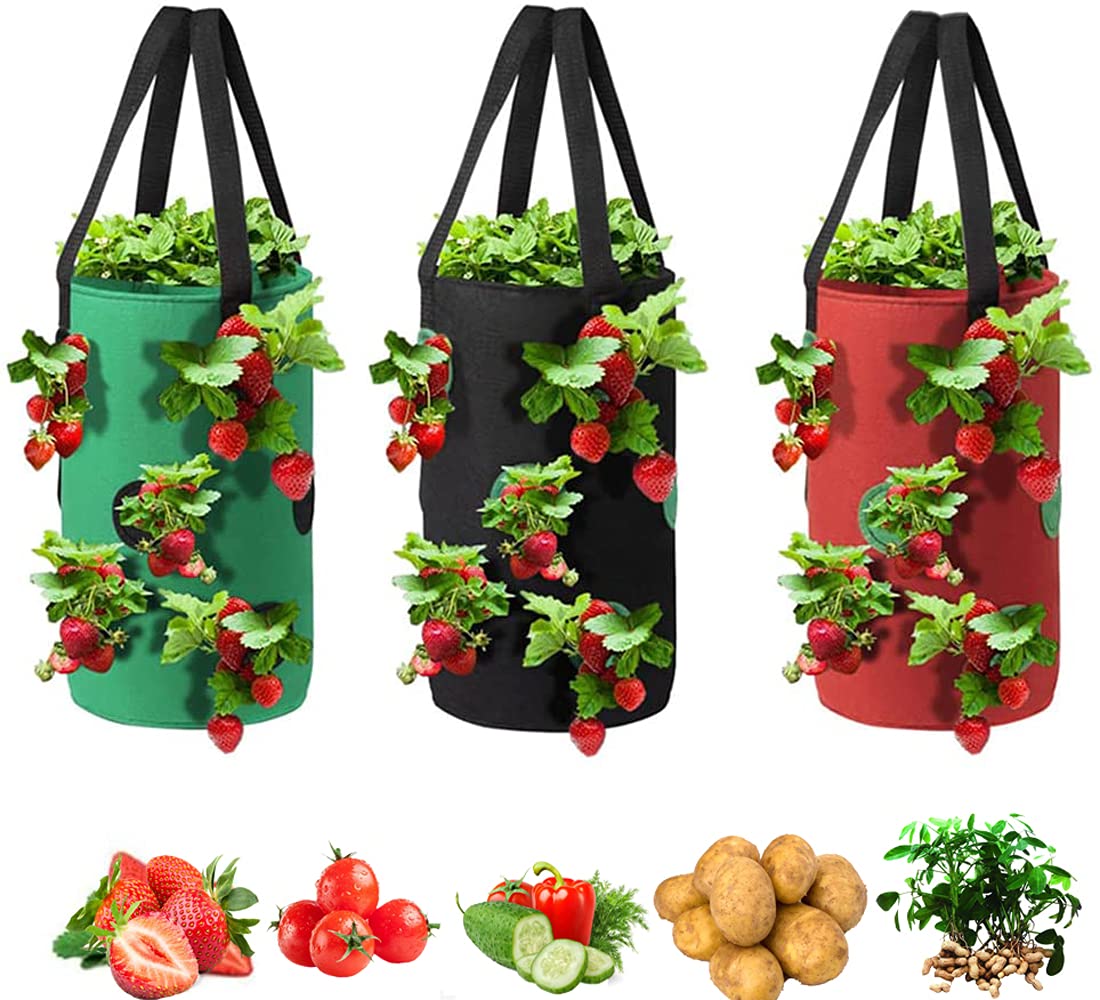 Sacs De Culture Suspendus Pour Planter Des Tomates Et Des Fraises