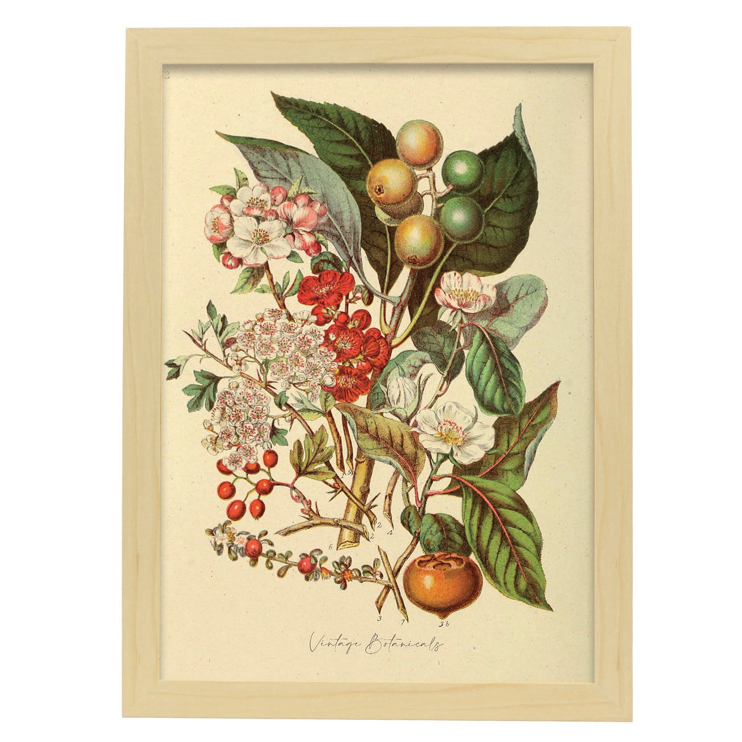 Affiche Nacnic De Chesnut Inspir Par Florale Vintage Cadres D Coratifs