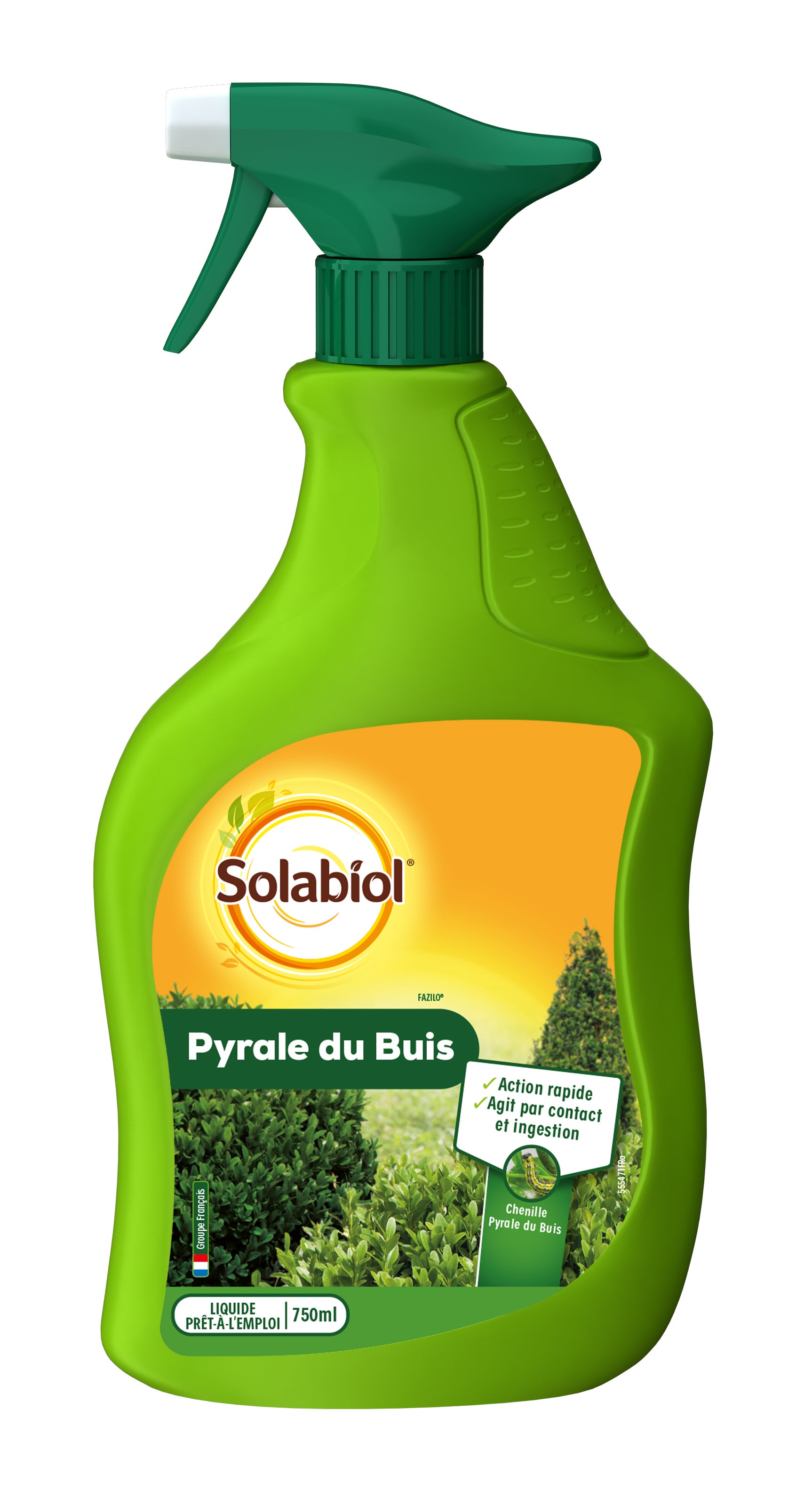 Traitement Des Insectes Pyrale Du Buis Solabiol Pour Plantes D