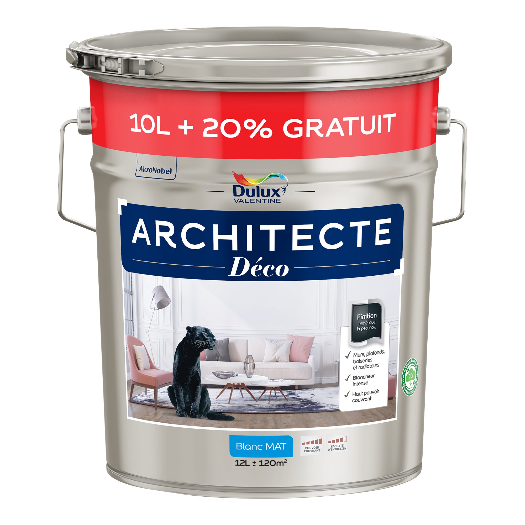 Peinture mur plafond blanc mat DULUX VALENTINE Architecte déco 10L 20