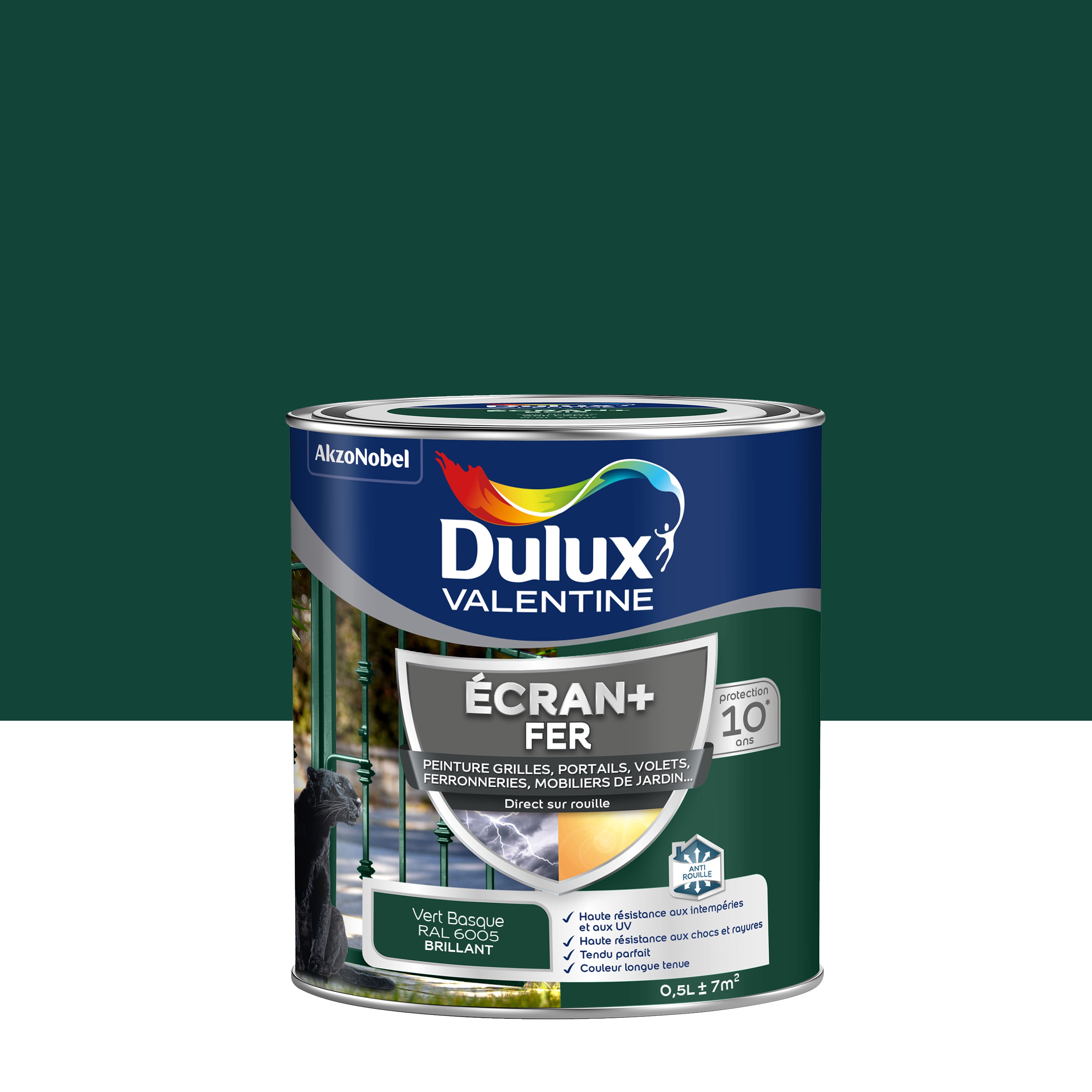 Peinture Ext Rieure Fer Ecran Dulux Valentine Vert Basque Brillant