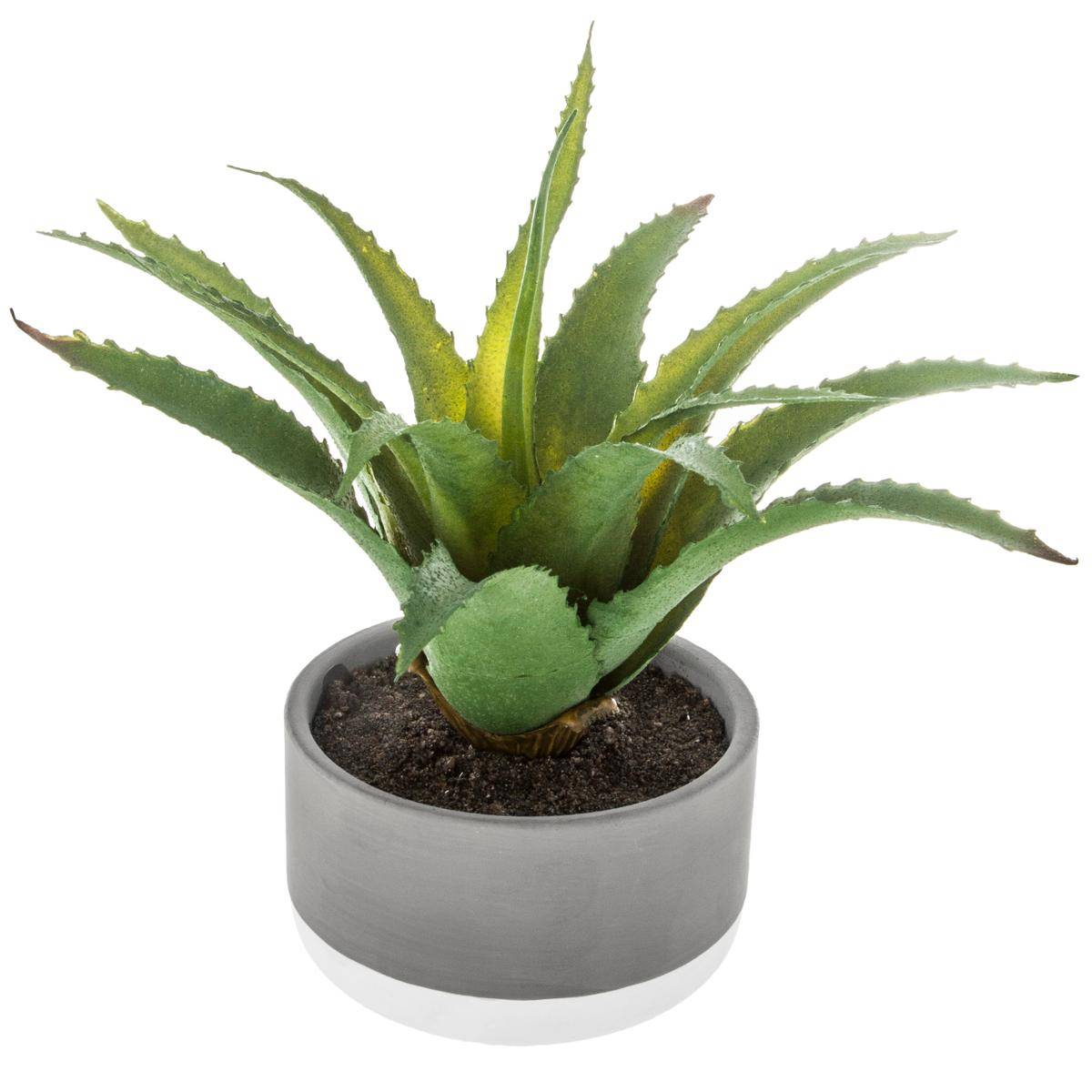 Plante Grasse Artificielle Pot En Ciment H23 Cm Atmosphera