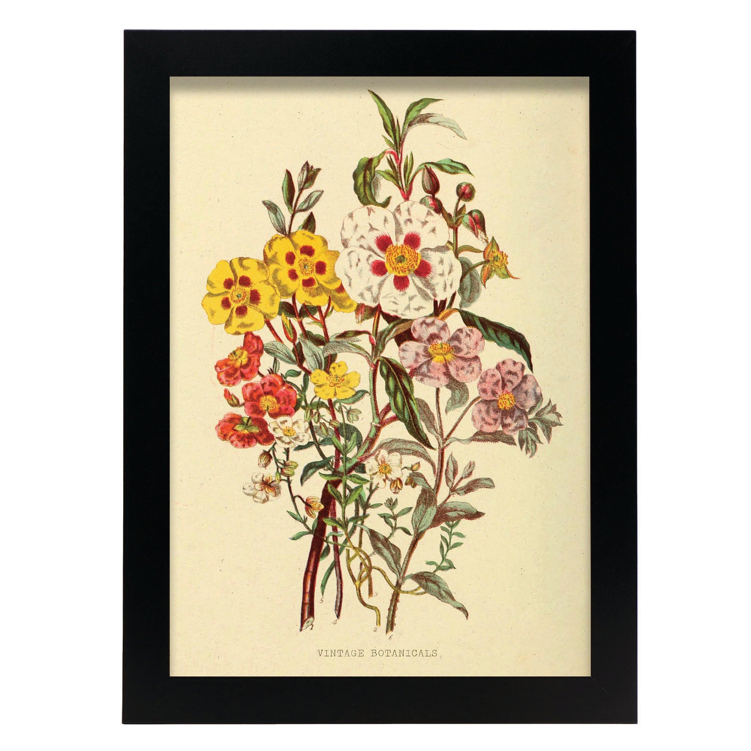 Affiche Nacnic De Fleur Sauvage Inspiré Par Florale Vintage Cadres