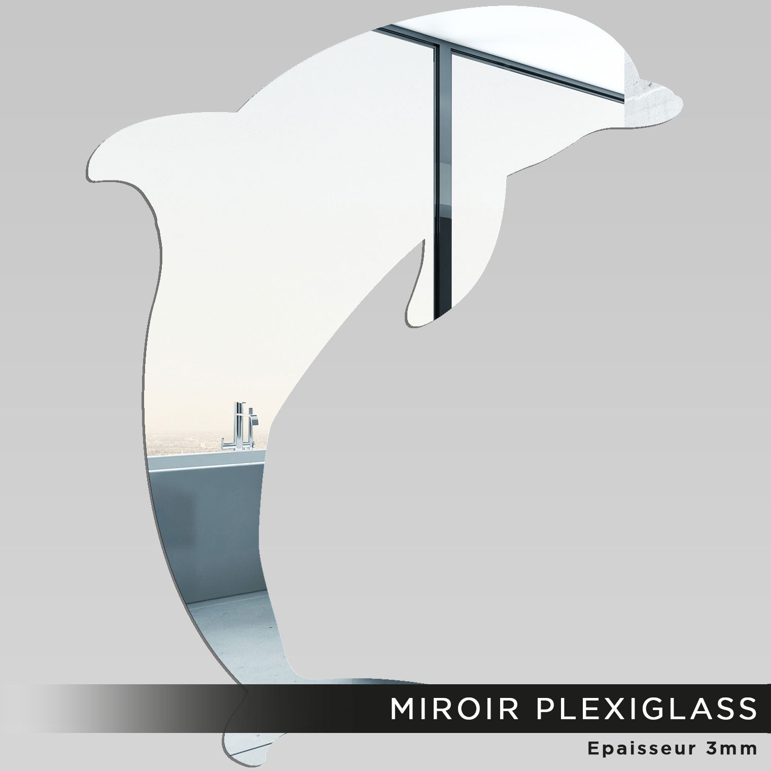 Miroir Plexiglass Dauphin 3617689974828 30x44 Cm Leroy Merlin