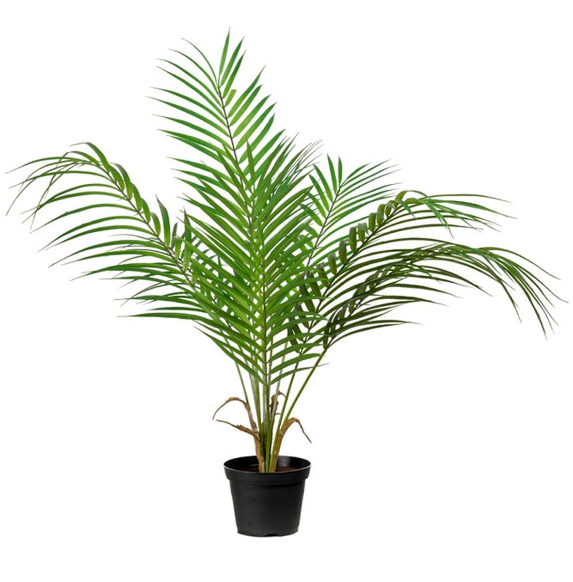 Palmier Areca Artificiel Grandes Palmes En Pot H Cm D Cm