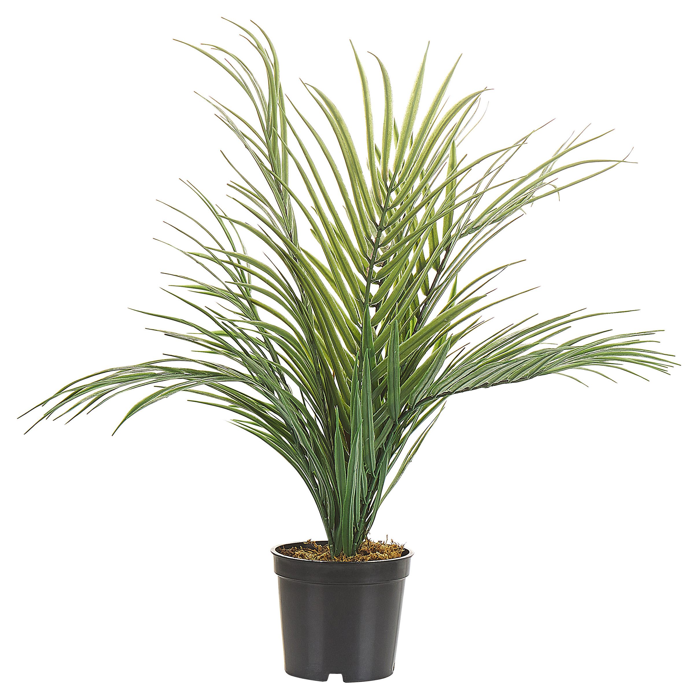 Plante Artificielle ARECA PALM Vert Leroy Merlin