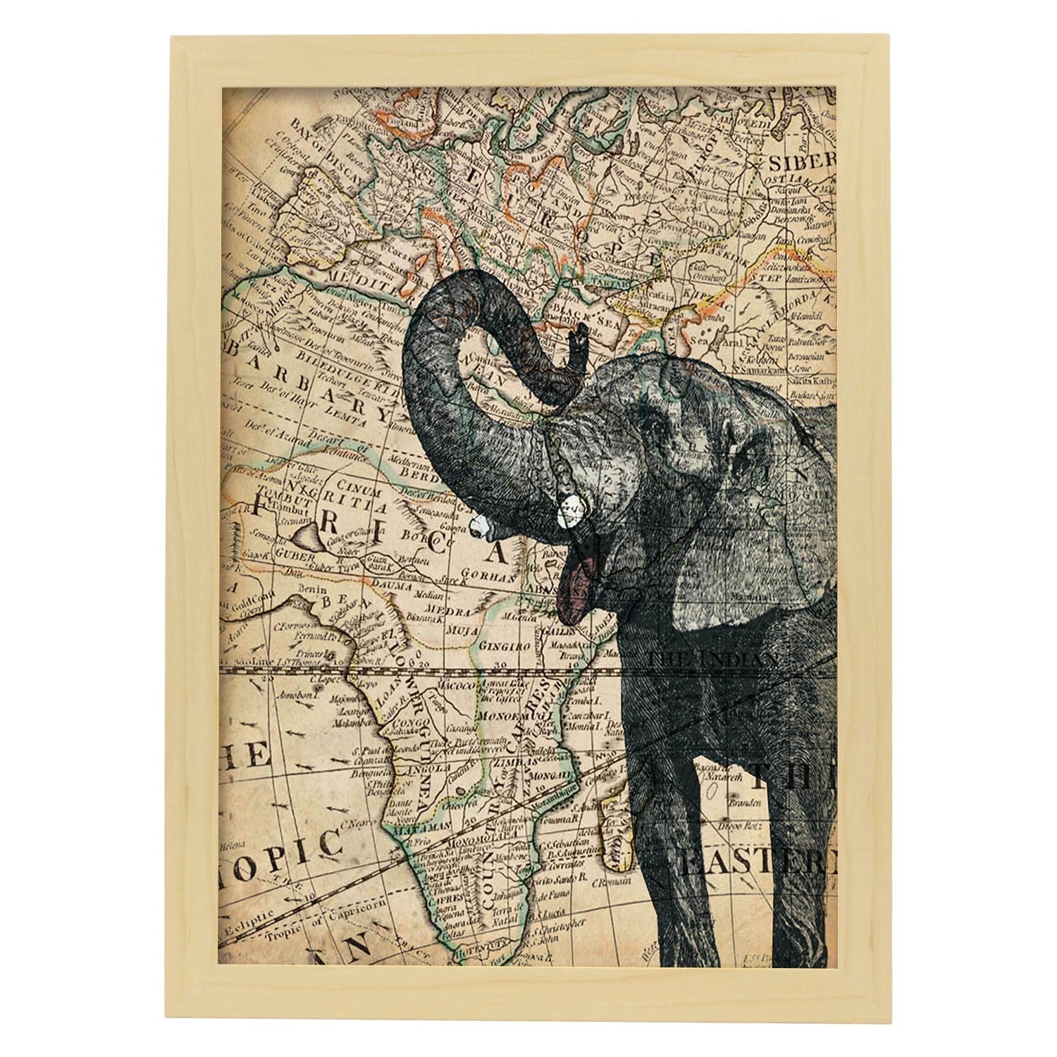 Affiche D éléphant En Afrique Feuilles De Carte Du Monde Décoration