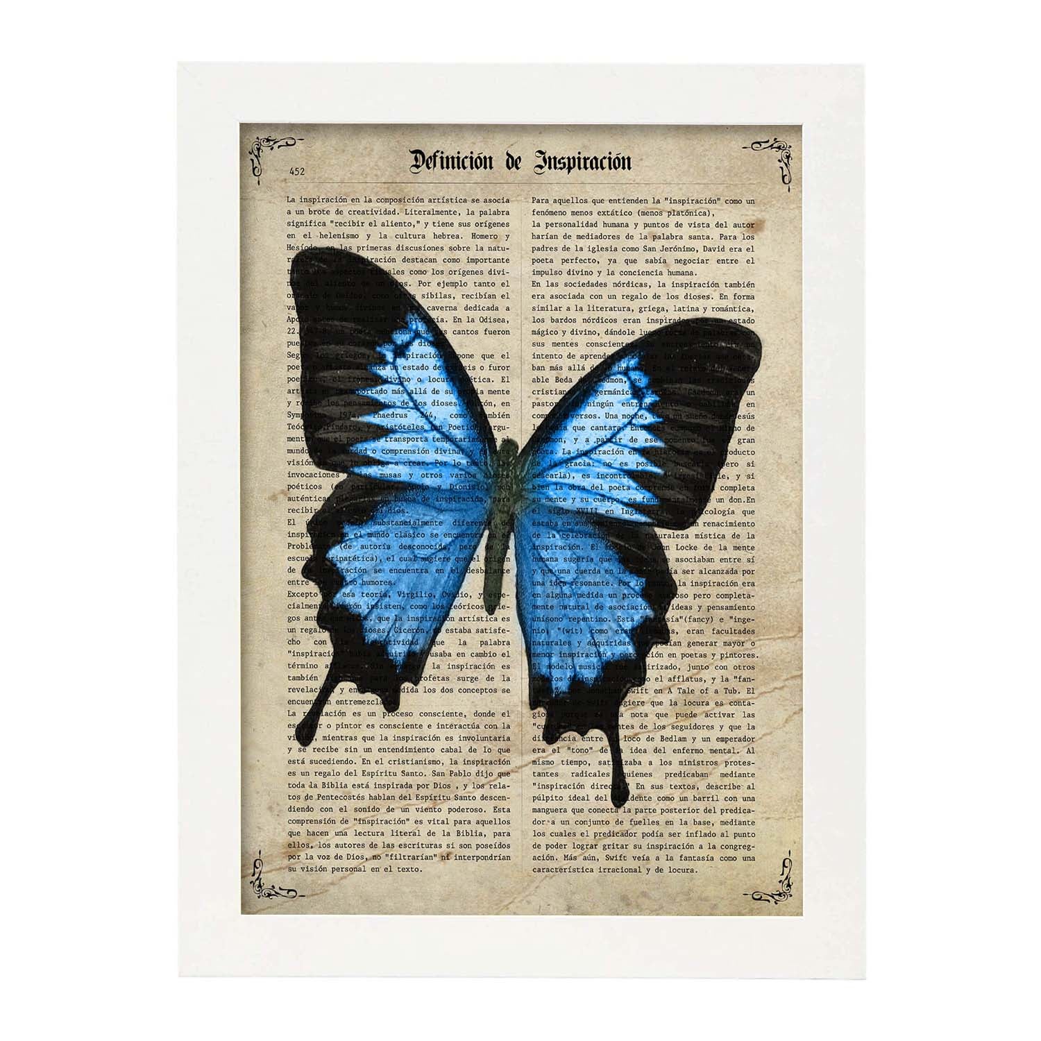 Affiche De Papillon Blue Morfo Papillons D Coration Des Papillons Et