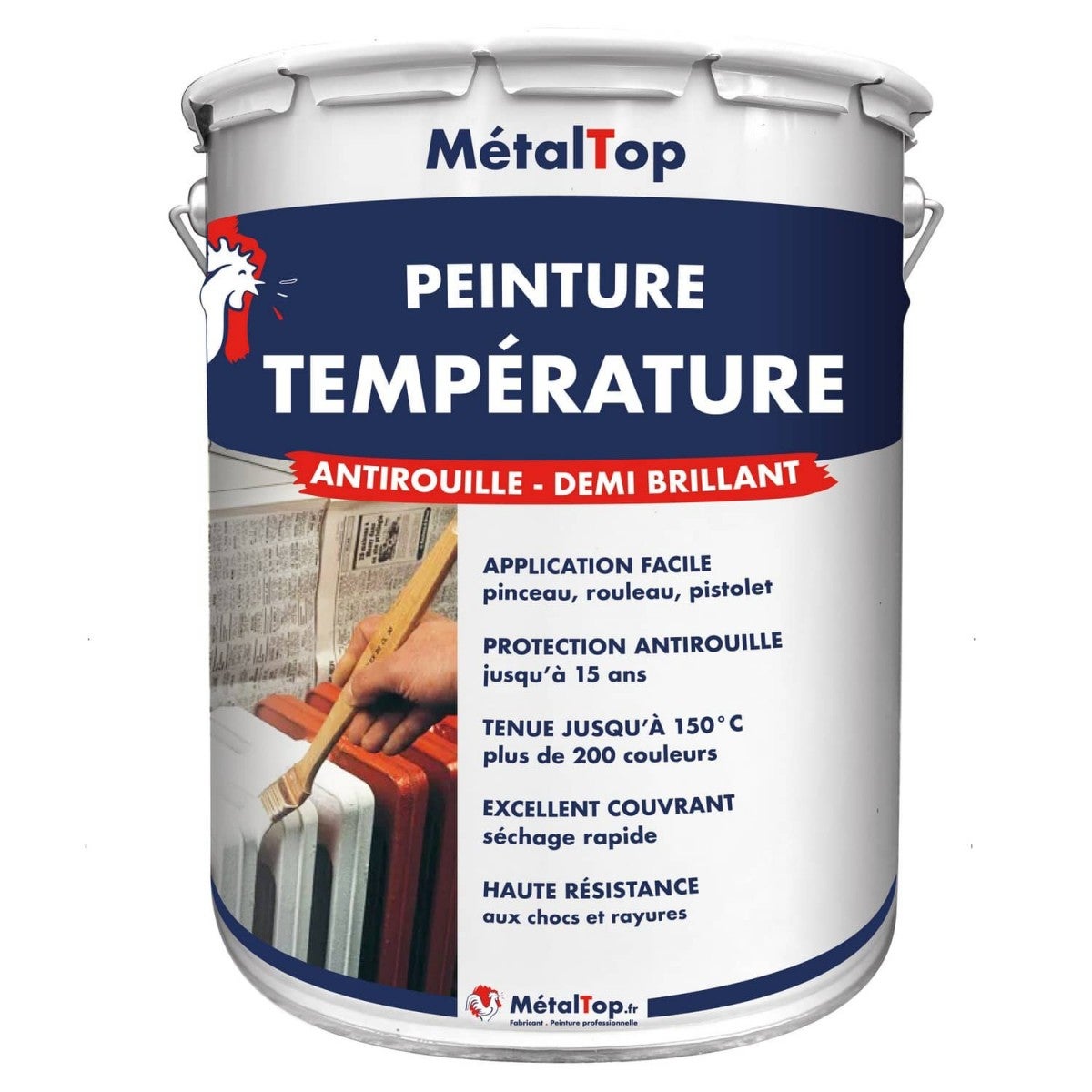 Peinture Temperature Metaltop Bleu Eau RAL 5021 Pot 5L Bricoman