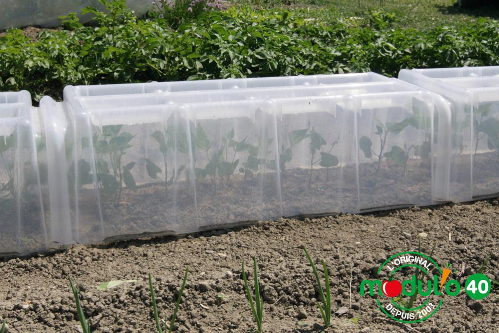 Mini-tunnel de forçage MODUL'O, l39xP.105xH.30 cm | Leroy Merlin