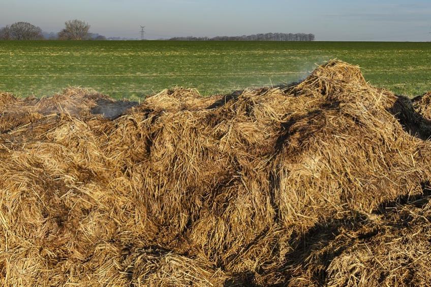 Fumier De Cheval En Sac Gamm Vert