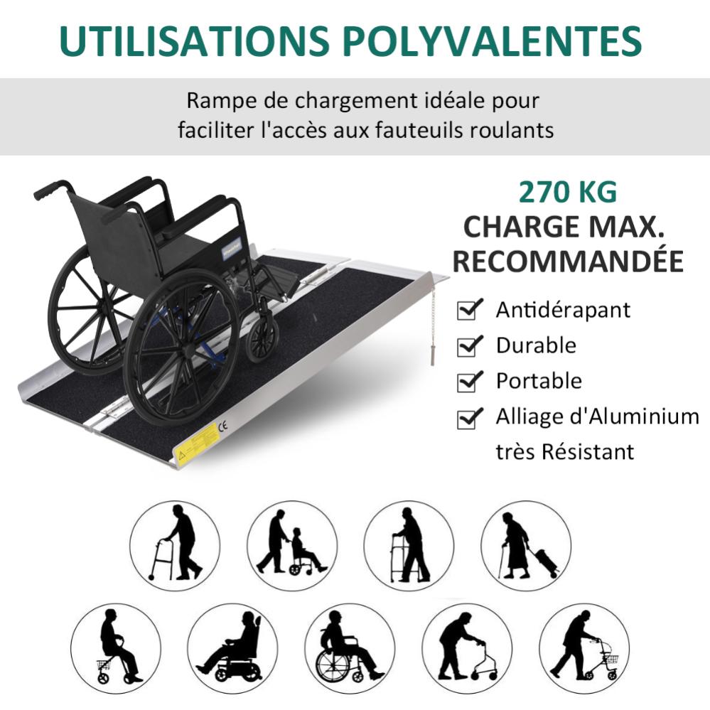 Rampe D Accès Fauteuil Roulant Leroy Merlin