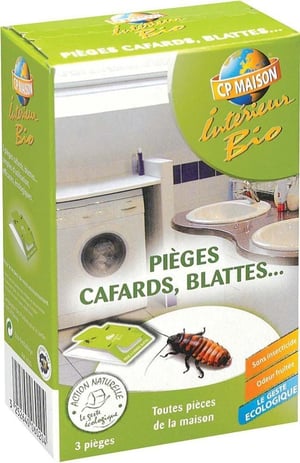 Piege A Puce Maison Leroy Merlin