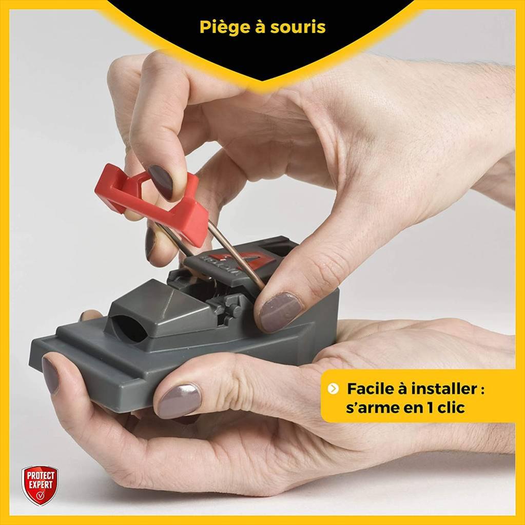 Lot De 3 Pieges Antisouris Plastique Protect Expert Leroy Merlin