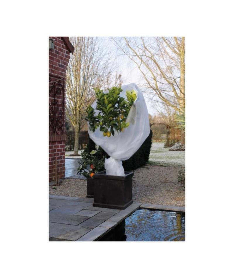 Voile Hivernage Leroy Merlin - Nature Voile D Hivernage 30 G M 2x5 M Blanc Leroy Merlin