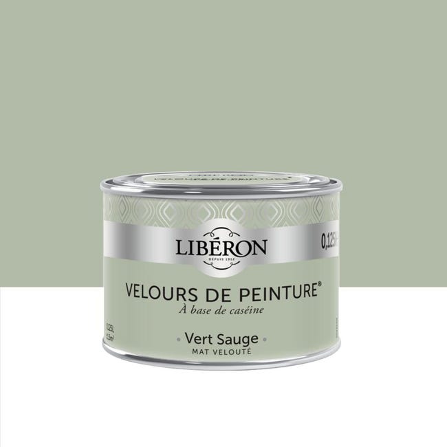 Peinture Vert Sauge Luxens Peinture Luxens Satin Gamboahinestrosa La Sauge Officinale Salvia Officinalis Appartient A La Famille Des Lamiacees Beatris Davie