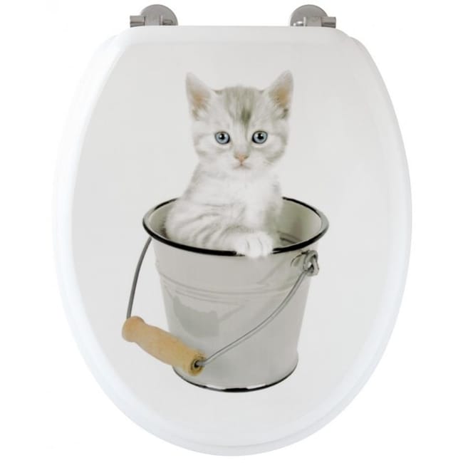 Abattant Wc Chaton Leroy Merlin Abattant Wc Chaton Leroy Merlin