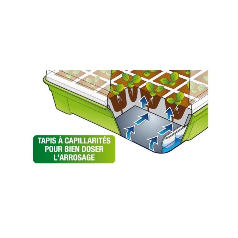 Kit De Germination 40 Godets Lot X2 Pour Semis