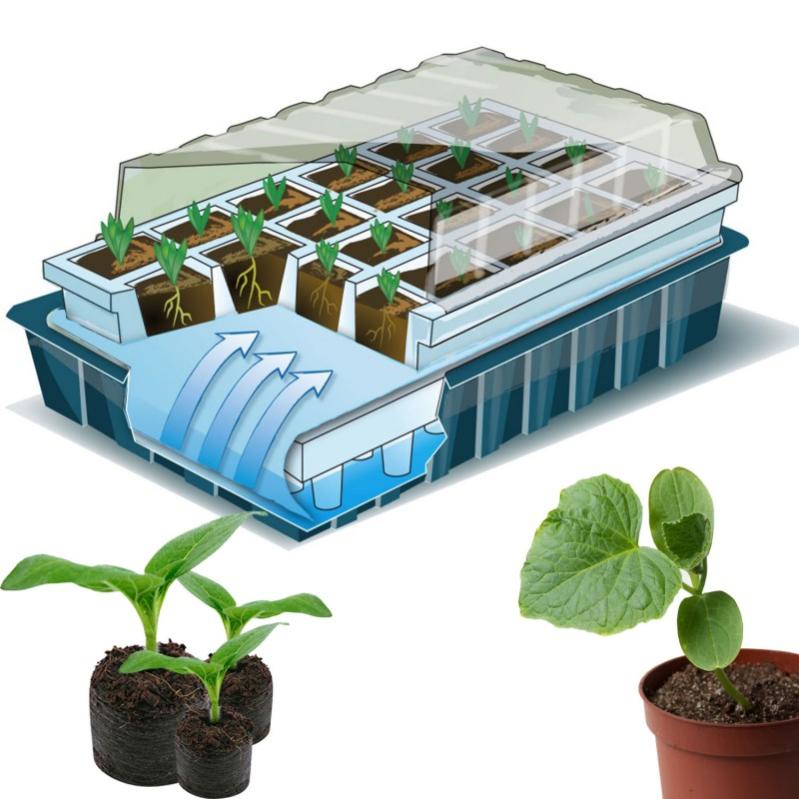 Kit De Germination 40 Godets Lot X2 Pour Semis