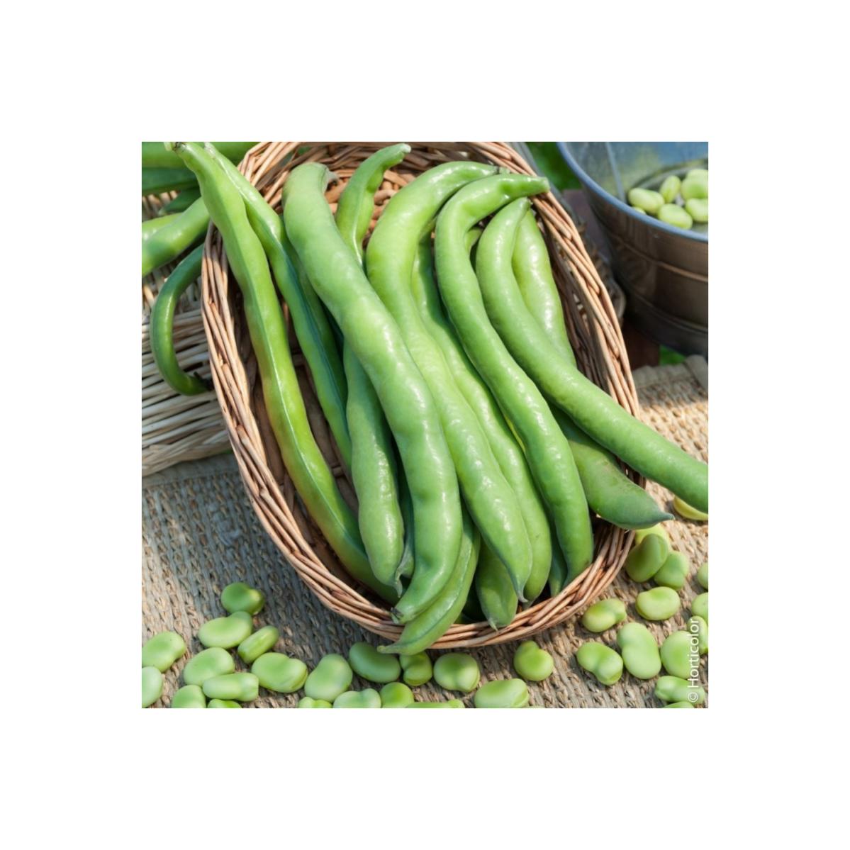 credence stratifie tropical h 64 cm x ep 9 mm x l 300 cm leroy merlin credence stratifie credence cuisine credence