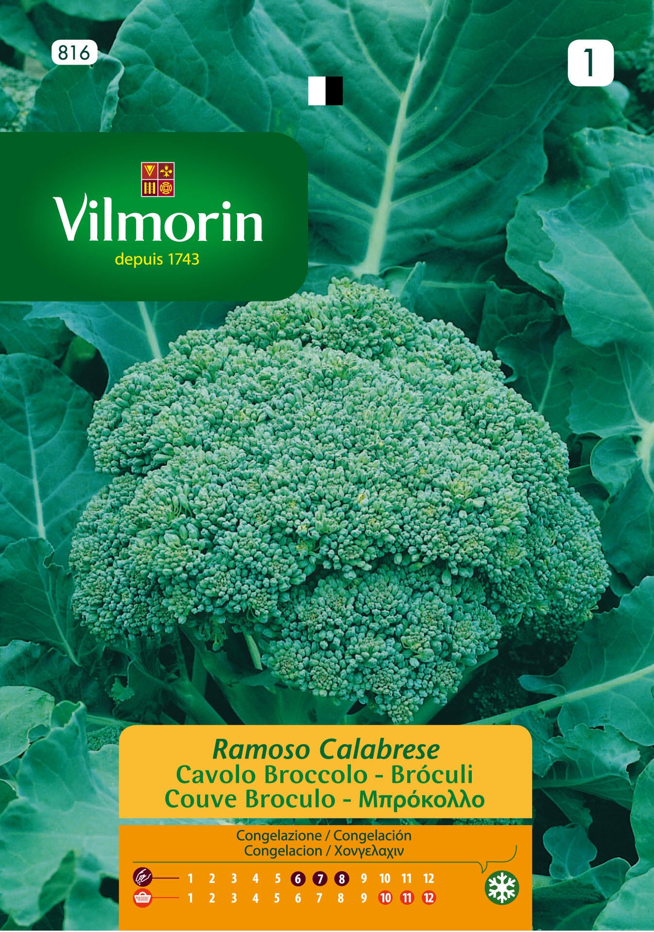 Semilla de brócoli ramoso calabrese