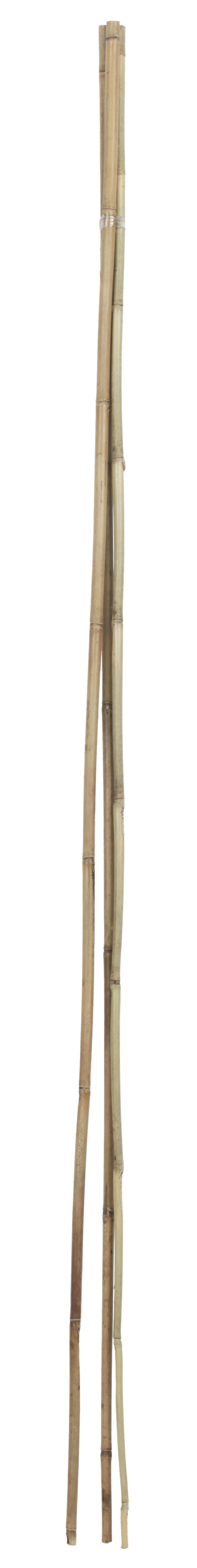 Soporte para plantar de bambú de 1.2m de alto y 10 mm de diámetro