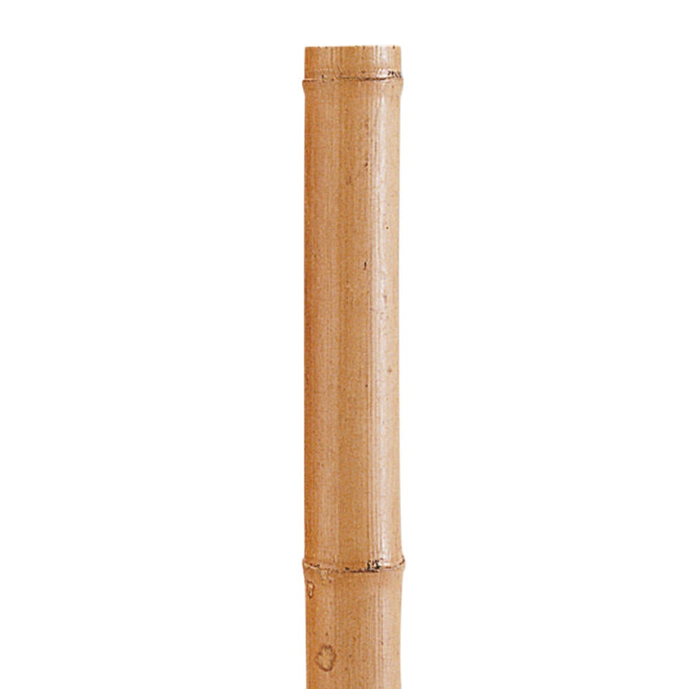 Poste decorativo de bambú 0.6x240 cm de la marca NORTENE
