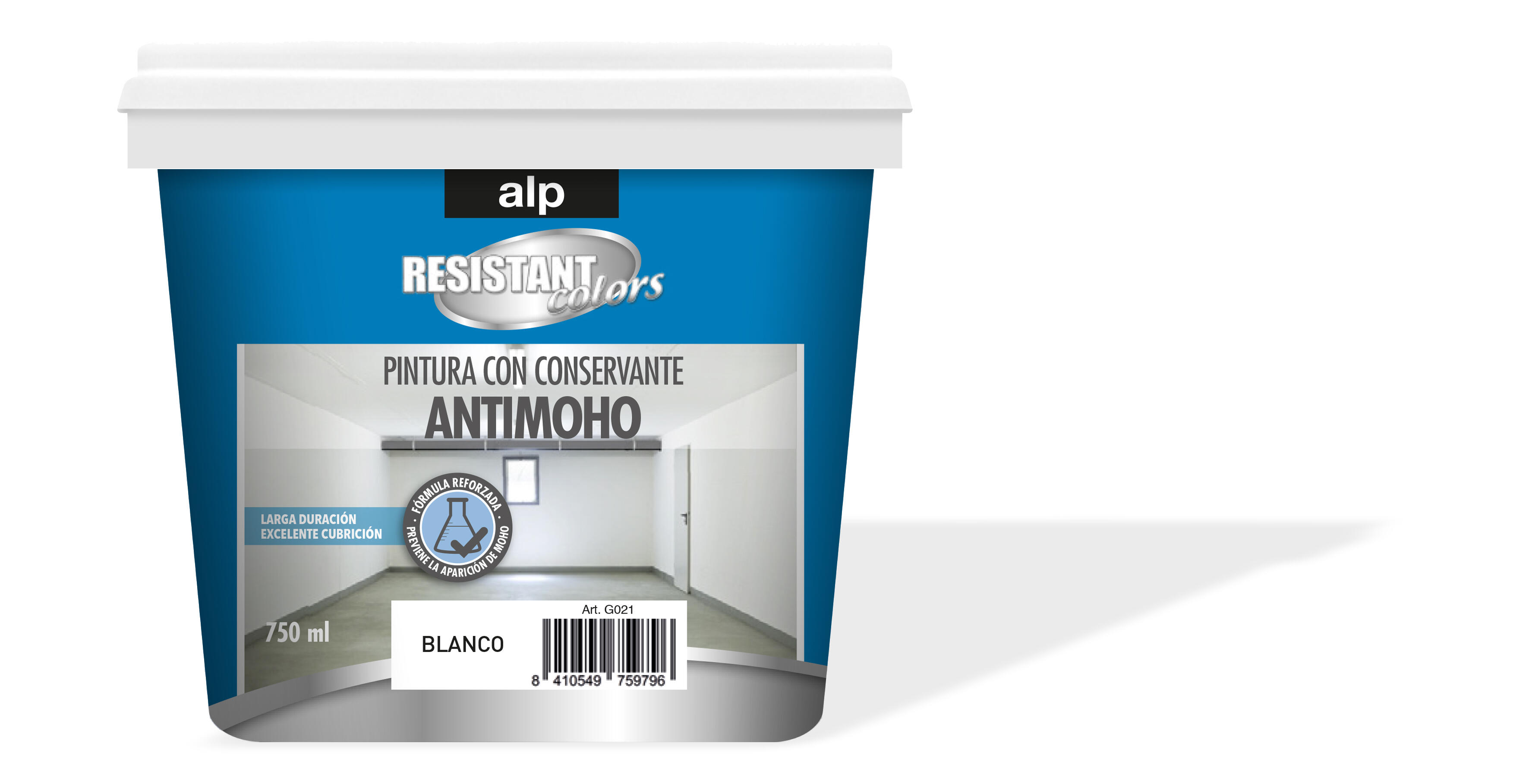 Pinturas antihumedad y antimoho para reformar tu hogar - Carpinteria de  aluminio, Reformas integrales en Barcelona
