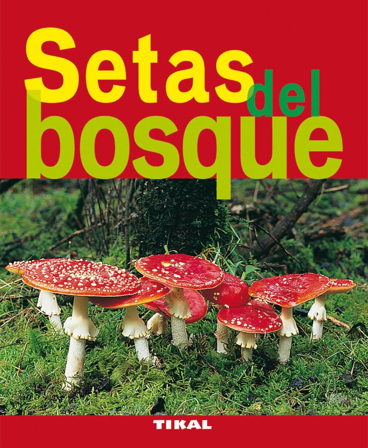 Libro setas del bosque