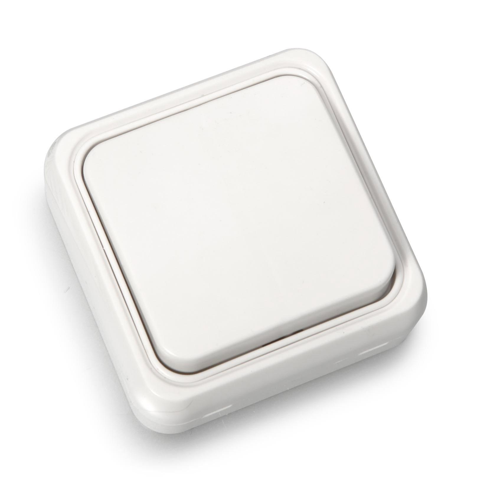 Cruzamiento bricofontini bf-18 blanco