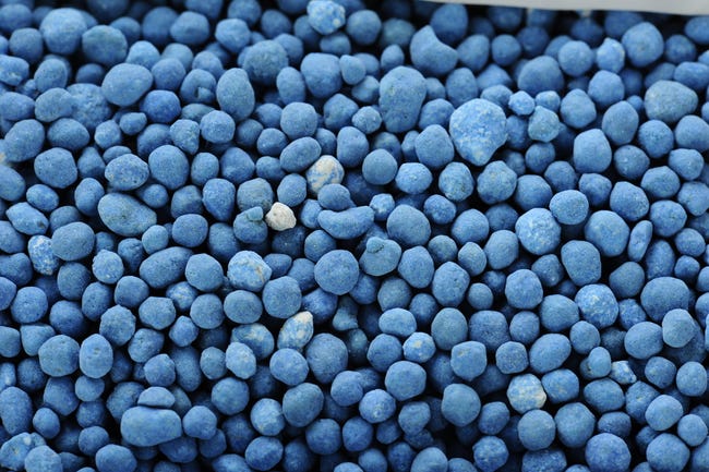 azul universal COMPO Novatec para tipo plantas 1kg Leroy Merlin